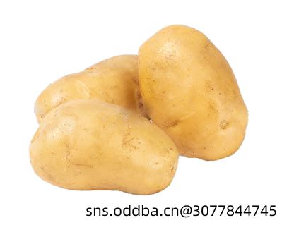 兮夜入凉