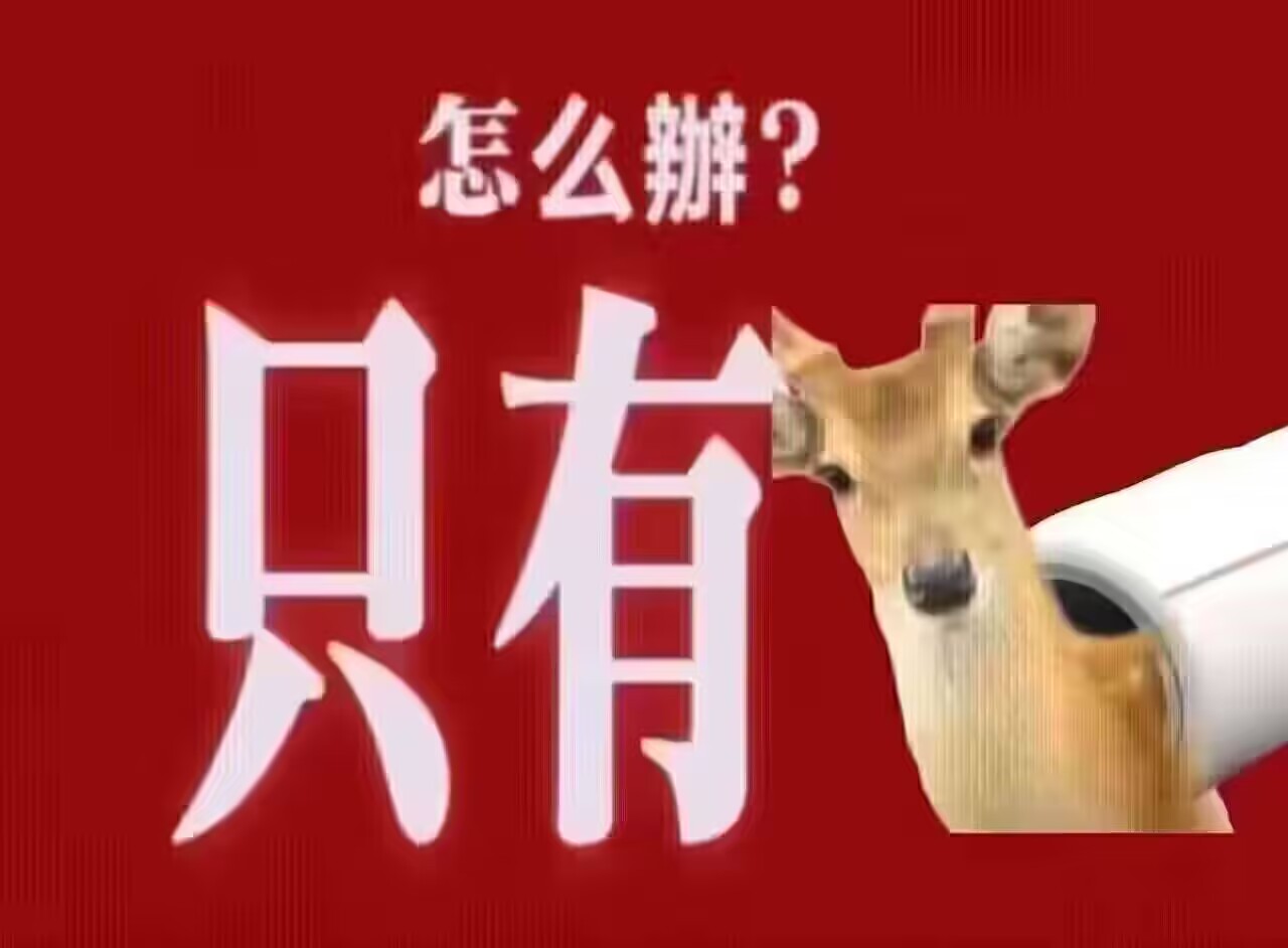 彩虹小马ewe